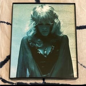 STEVIE NICKS~ FLEETWOOD MAC 8X10 FRAMED PHOTO VINTAGE~Our Welsch Witch……